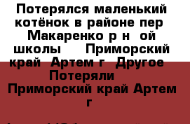 Потерялся маленький котёнок в районе пер. Макаренко р-н 6ой школы ! - Приморский край, Артем г. Другое » Потеряли   . Приморский край,Артем г.